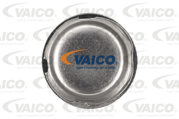 V46-0790 VAICO Крышка / защитный колпак (фото 4)