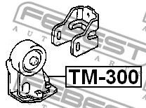 TM-300 FEBEST Подвеска, двигатель (фото 2)