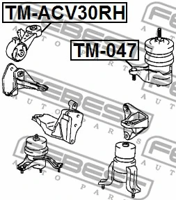 TM-ACV30RH FEBEST Подвеска, двигатель (фото 2)