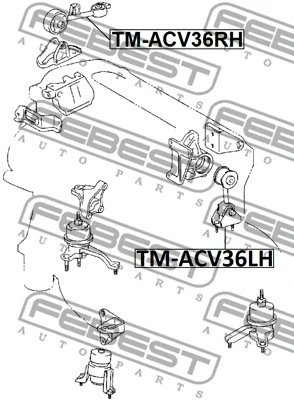 TM-ACV36RH FEBEST Подвеска, двигатель (фото 2)