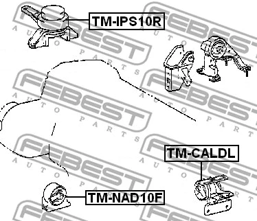 TM-NAD10F FEBEST Подвеска, двигатель (фото 2)