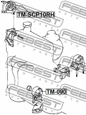 TM-SCP10RH FEBEST Подвеска, двигатель (фото 2)