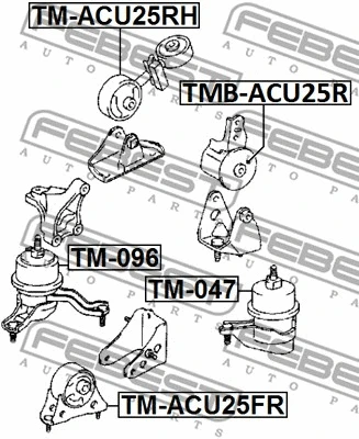 TMB-ACU25R FEBEST Подвеска, двигатель (фото 2)