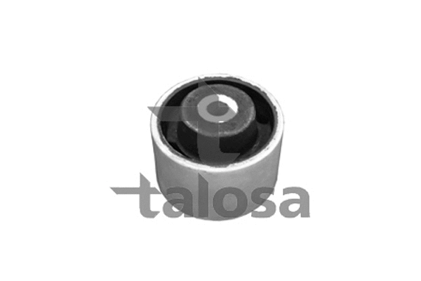 61-05122 TALOSA Подвеска, двигатель (фото 1)