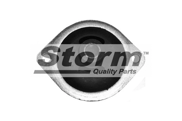 F0251 Storm Подвеска, двигатель (фото 1)