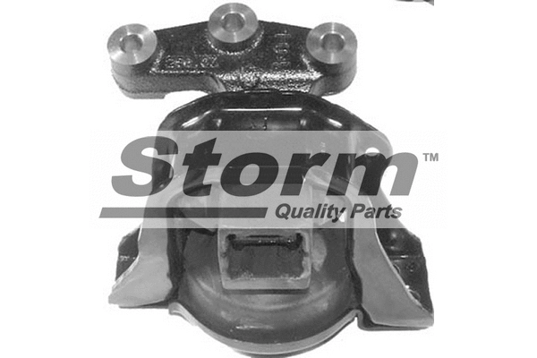 F10108 Storm Подвеска, двигатель (фото 1)
