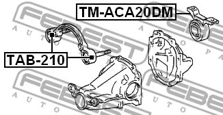 TM-ACA20DM FEBEST Опора, дифференциал (фото 2)