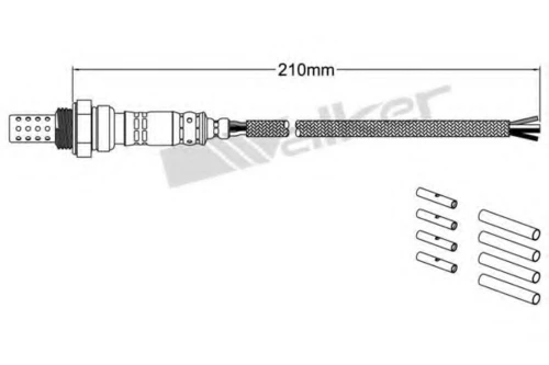 250-24400 WALKER Лямбда-зонд (фото 5)