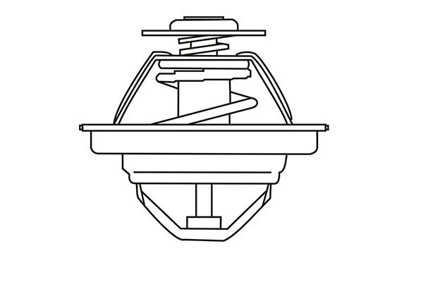 320669 WXQP Термостат, охлаждающая жидкость (фото 8)