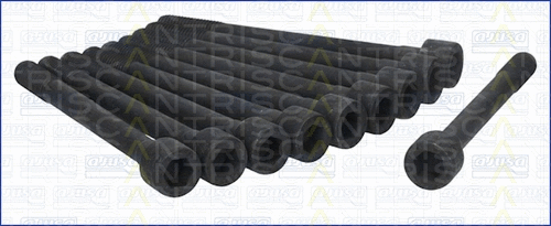 98-4503 TRISCAN Комплект болтов головки цилидра (фото 1)