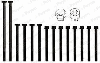 HBS010 PAYEN Комплект болтов головки цилидра (фото 1)