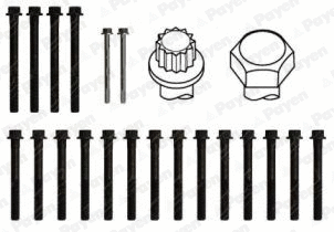 HBS216 PAYEN Комплект болтов головки цилидра (фото 2)