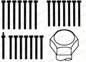 HBS229 PAYEN Комплект болтов головки цилидра (фото 1)