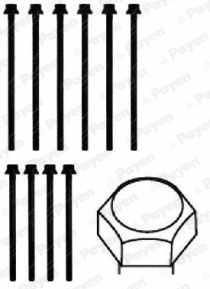 HBS279 PAYEN Комплект болтов головки цилидра (фото 1)