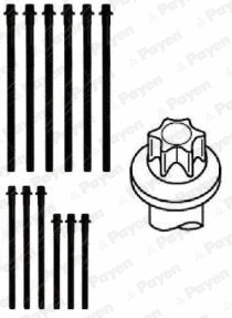 HBS467 PAYEN Комплект болтов головки цилидра (фото 2)