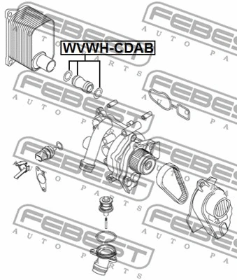 VWWH-CDAB FEBEST Шланг радиатора (фото 1)