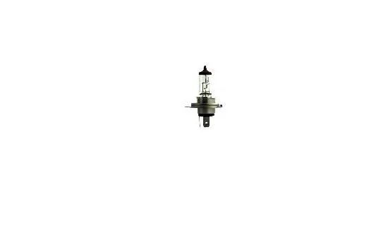 48861 NARVA Лампа накаливания (фото 2)