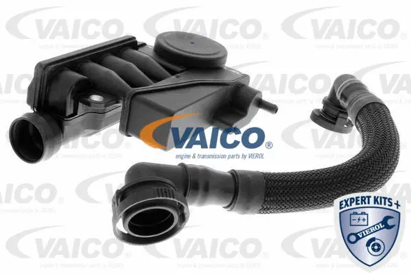 V10-6466 VAICO Ремонтный набор, вентиляция картера (фото 1)