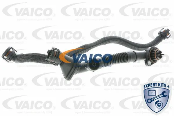 V20-3290 VAICO Ремонтный набор, вентиляция картера (фото 1)