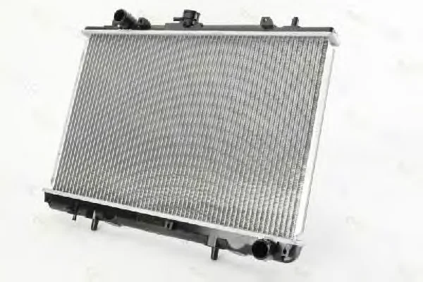 D75007TT THERMOTEC Радиатор охлаждения двигателя (фото 1)