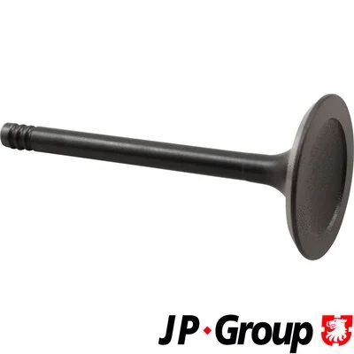 1111303500 JP GROUP Впускной клапан (фото 1)