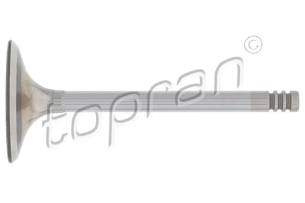 101 599 TOPRAN Впускной клапан (фото 1)