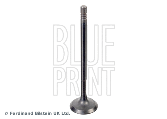 ADBP610041 BLUE PRINT Впускной клапан (фото 1)