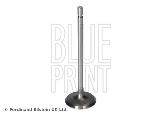 ADBP610135 BLUE PRINT Впускной клапан (фото 1)