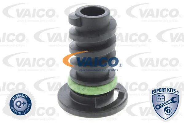 V30-1007 VAICO Резьбовая пробка, масляный поддон (фото 1)