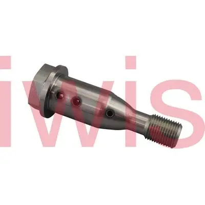 59374 Iwis Motorsysteme Регулирующий клапан, выставление распределительного вала (фото 1)