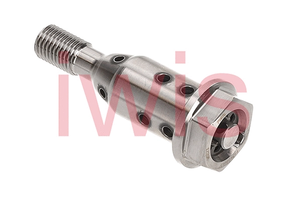 59663 Iwis Motorsysteme Регулирующий клапан, выставление распределительного вала (фото 1)
