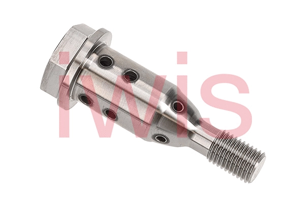 59663 Iwis Motorsysteme Регулирующий клапан, выставление распределительного вала (фото 2)