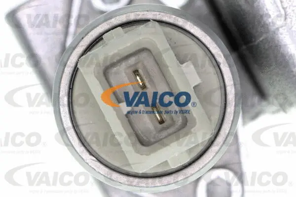 V10-4409 VAICO Шестерня привода распределительного вала (фото 2)