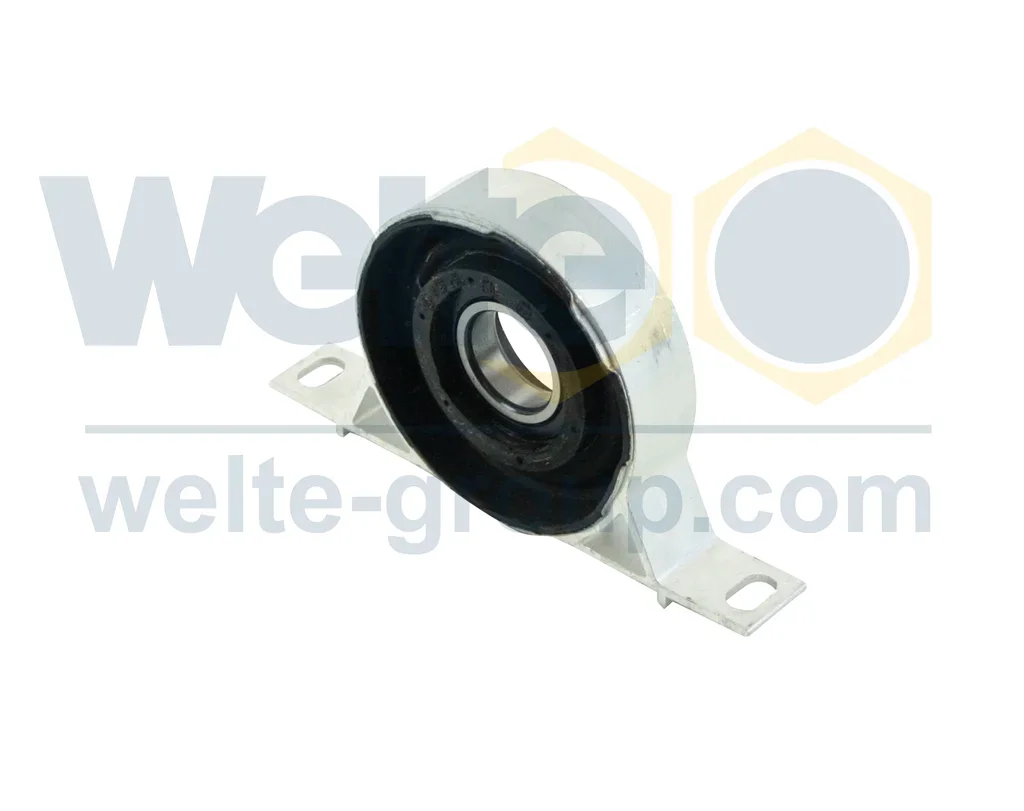 100000210-GE Welte Подшипник, промежуточный подшипник карданного вала (фото 1)