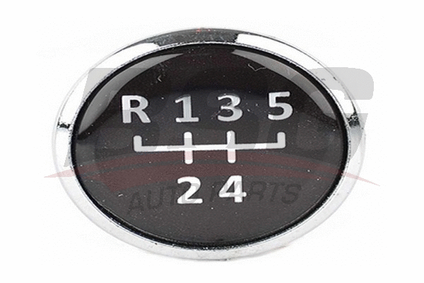 BSG 90-465-024 BSG Ручка рычага переключения передач (фото 1)