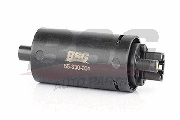 BSG 65-830-001 BSG Топливный насос (фото 1)