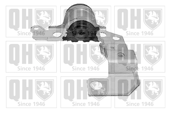 EMS8037 QUINTON HAZELL Подвеска, рычаг независимой подвески колеса (фото 3)