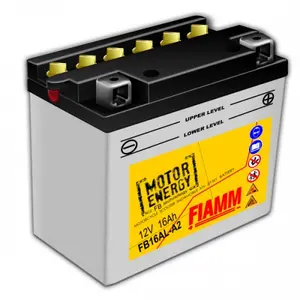 7904456 FIAMM Аккумулятор (фото 1)