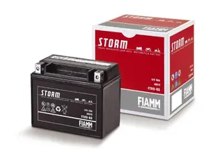 7904480 FIAMM Аккумулятор (фото 1)