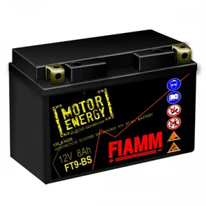 7904481 FIAMM Аккумулятор (фото 1)