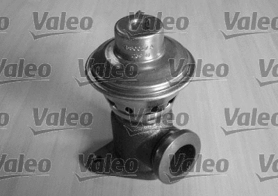 700404 VALEO Клапан возврата ОГ (фото 1)