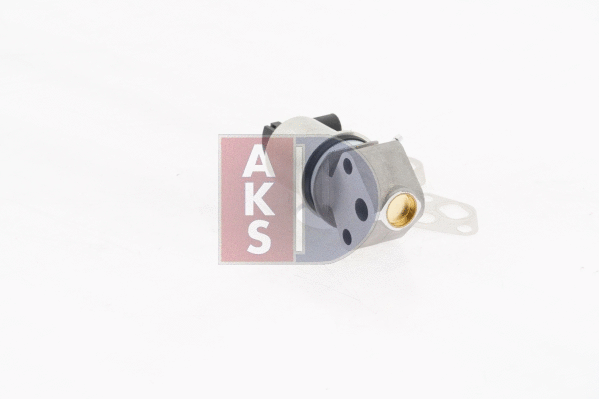 045139N AKS DASIS Клапан возврата ОГ (фото 11)