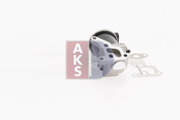 045163N AKS DASIS Клапан возврата ОГ (фото 12)