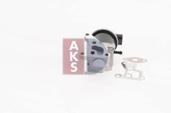 045163N AKS DASIS Клапан возврата ОГ (фото 13)