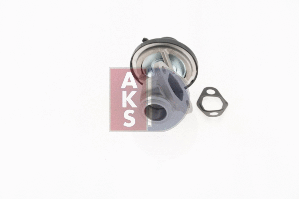045164N AKS DASIS Клапан возврата ОГ (фото 13)