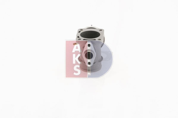 055023N AKS DASIS Клапан возврата ОГ (фото 10)