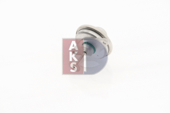 155032N AKS DASIS Клапан возврата ОГ (фото 11)