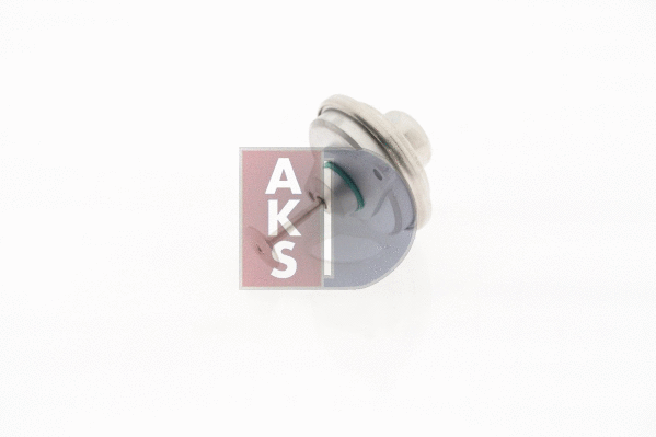 155032N AKS DASIS Клапан возврата ОГ (фото 12)