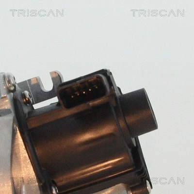 8813 10007 TRISCAN Клапан возврата ОГ (фото 2)