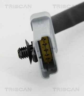 8813 10202 TRISCAN Клапан возврата ОГ (фото 2)